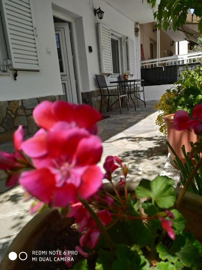 Apartament Chrysanty'S Tea House Kalambaka Zewnętrze zdjęcie