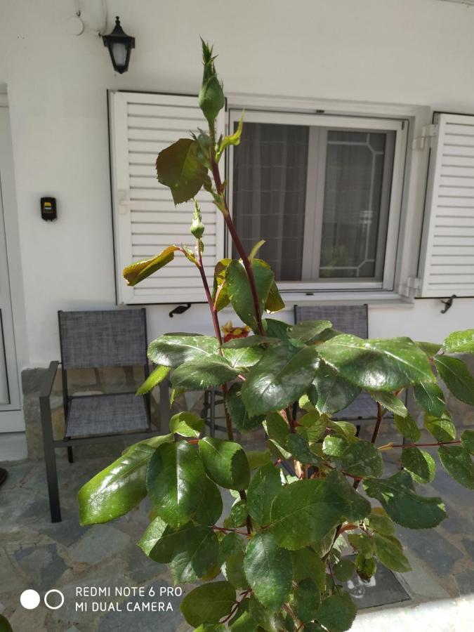 Apartament Chrysanty'S Tea House Kalambaka Zewnętrze zdjęcie