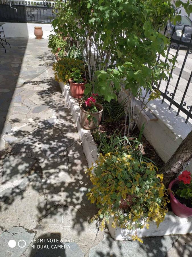 Apartament Chrysanty'S Tea House Kalambaka Zewnętrze zdjęcie