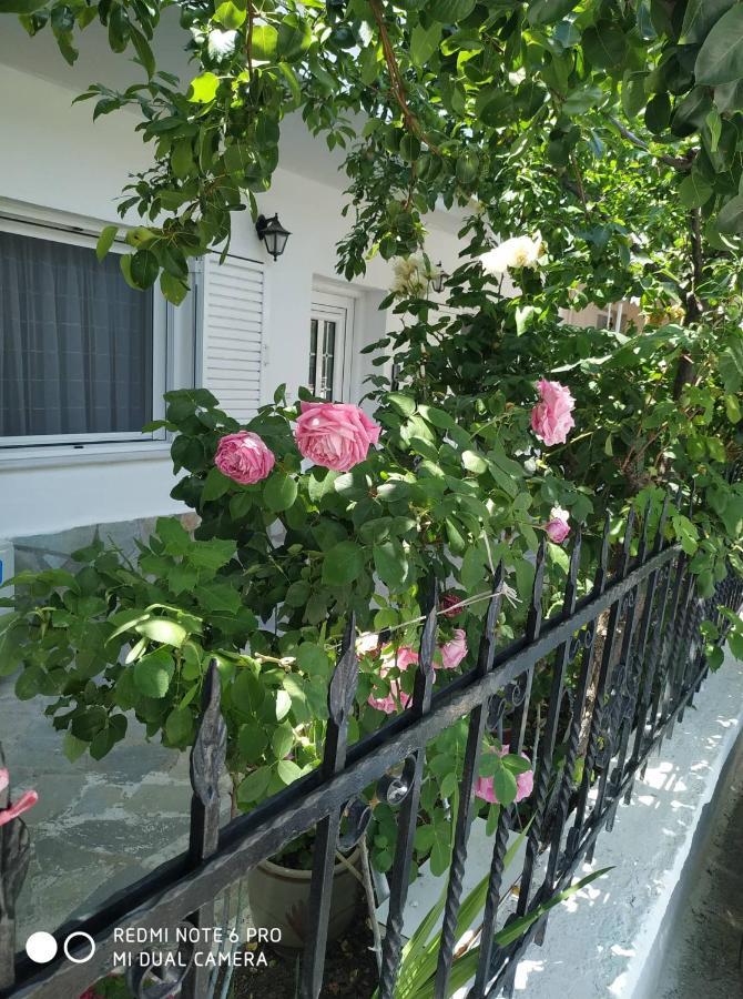 Apartament Chrysanty'S Tea House Kalambaka Zewnętrze zdjęcie