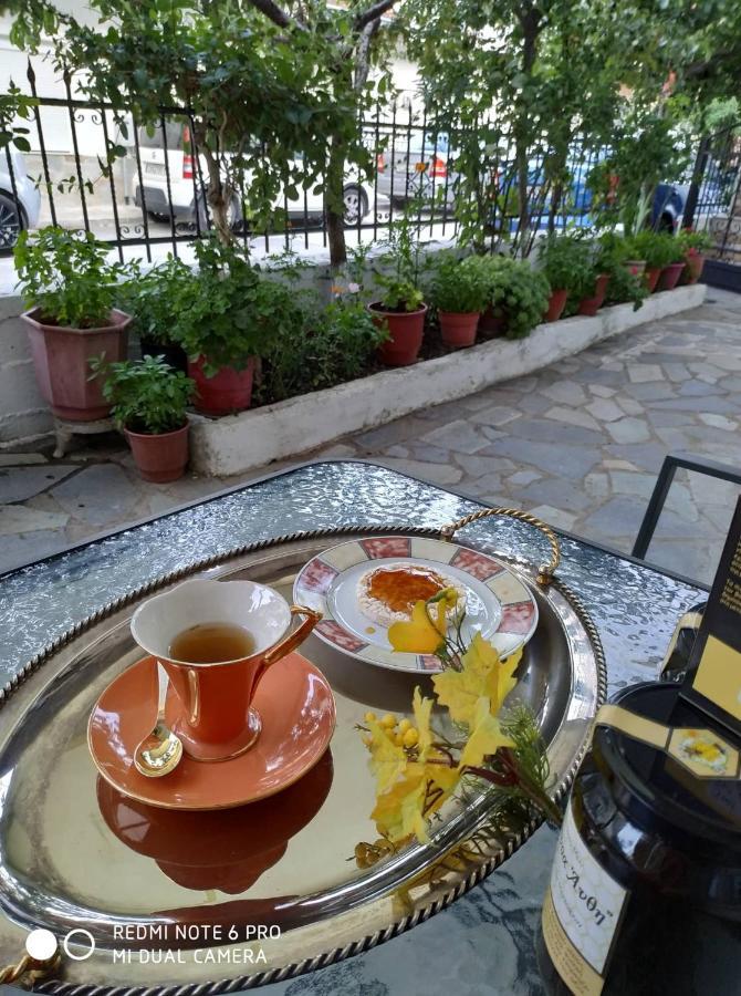 Apartament Chrysanty'S Tea House Kalambaka Zewnętrze zdjęcie