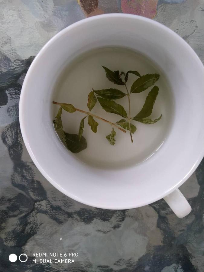 Apartament Chrysanty'S Tea House Kalambaka Zewnętrze zdjęcie