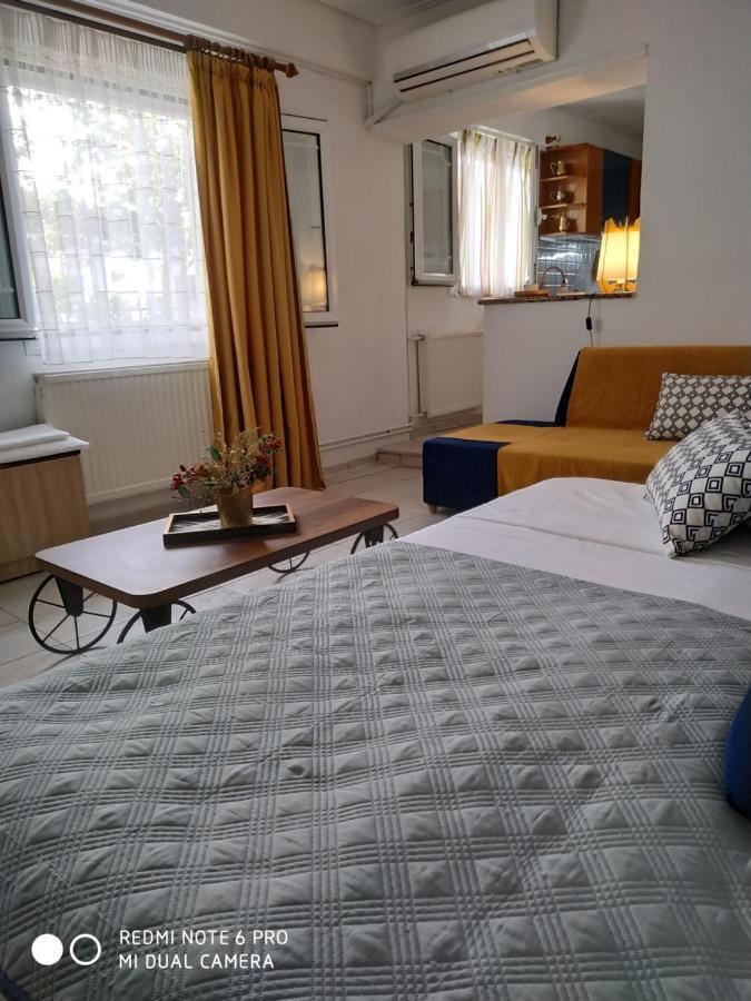 Apartament Chrysanty'S Tea House Kalambaka Zewnętrze zdjęcie