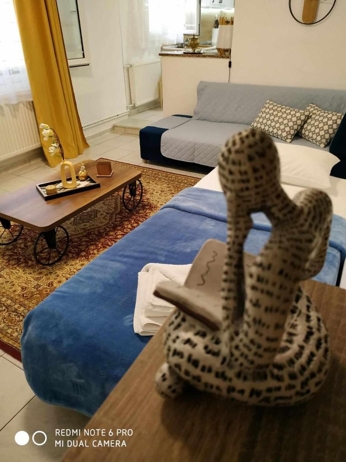 Apartament Chrysanty'S Tea House Kalambaka Zewnętrze zdjęcie